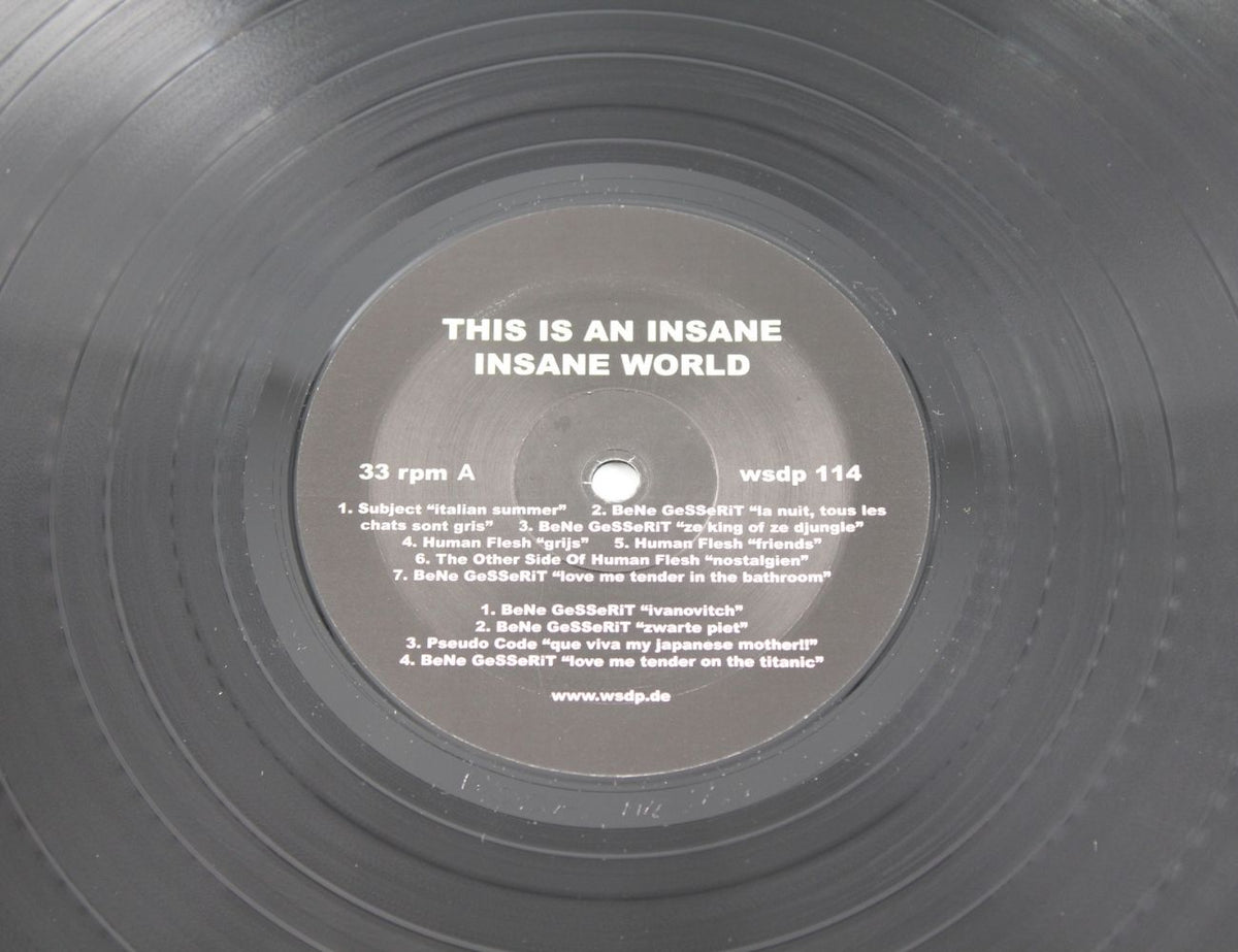 Various Artists - This Is An Insane Insane World