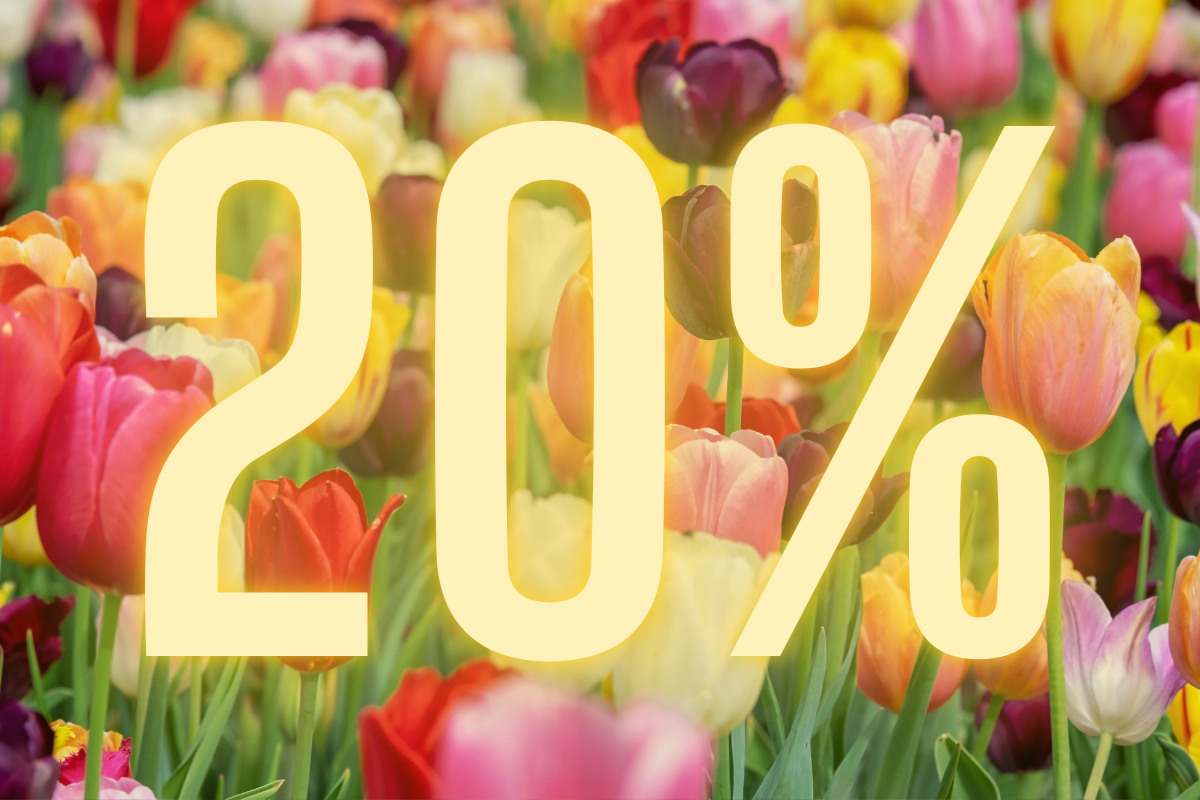 20% Frühlingsrabatt / Spring Discount