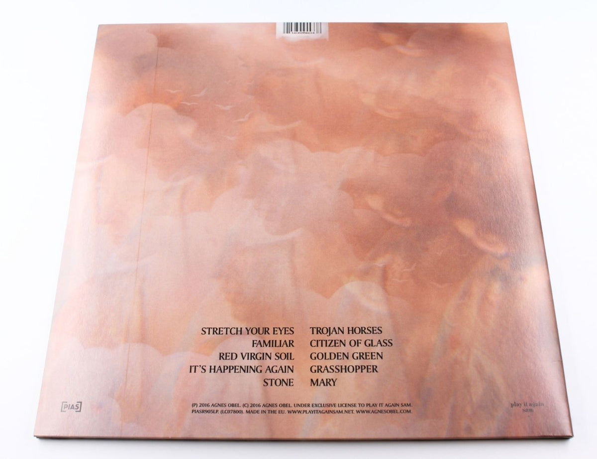 Agnes Obel - Citizen Of Glass