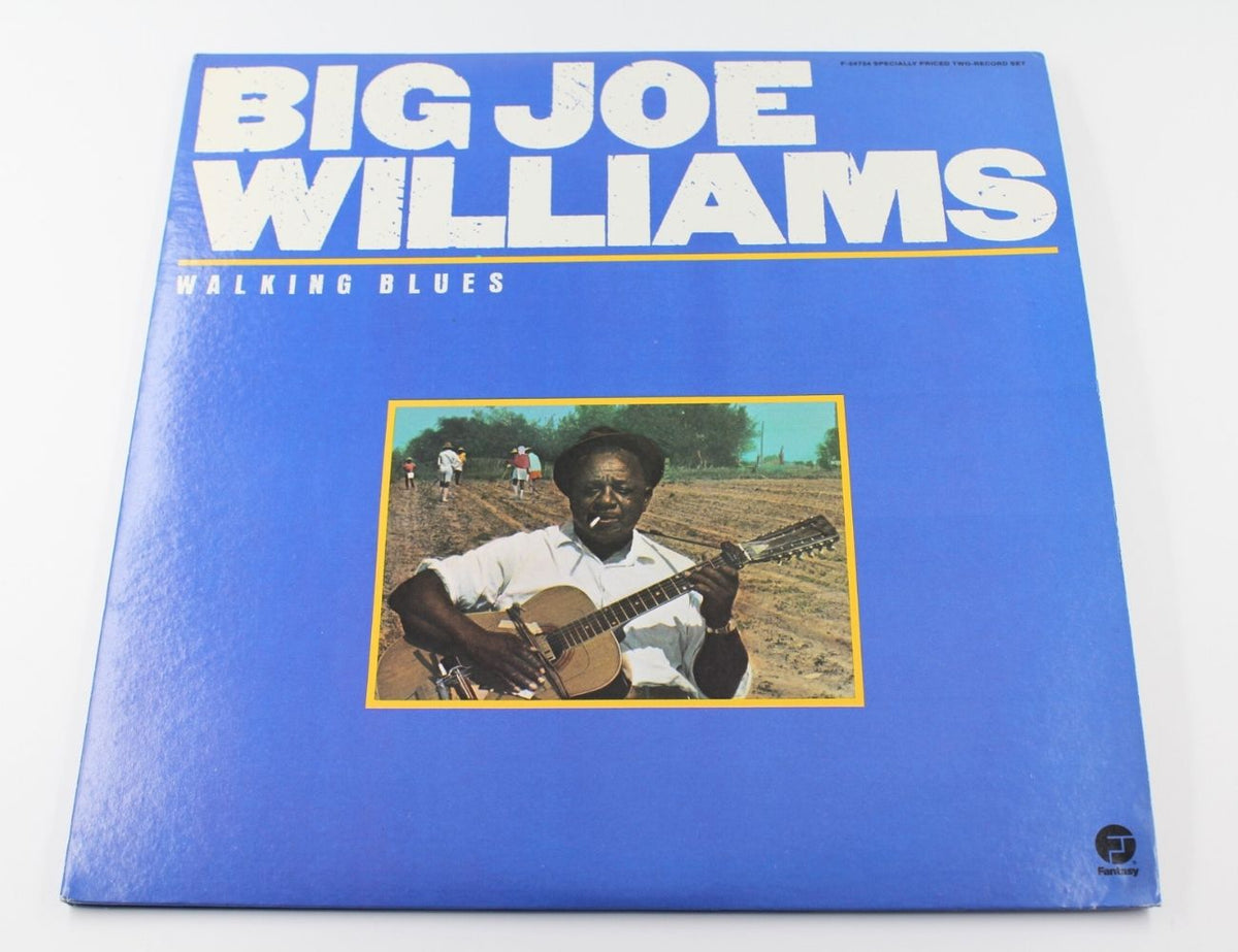 Big Joe Williams - Walking Blues