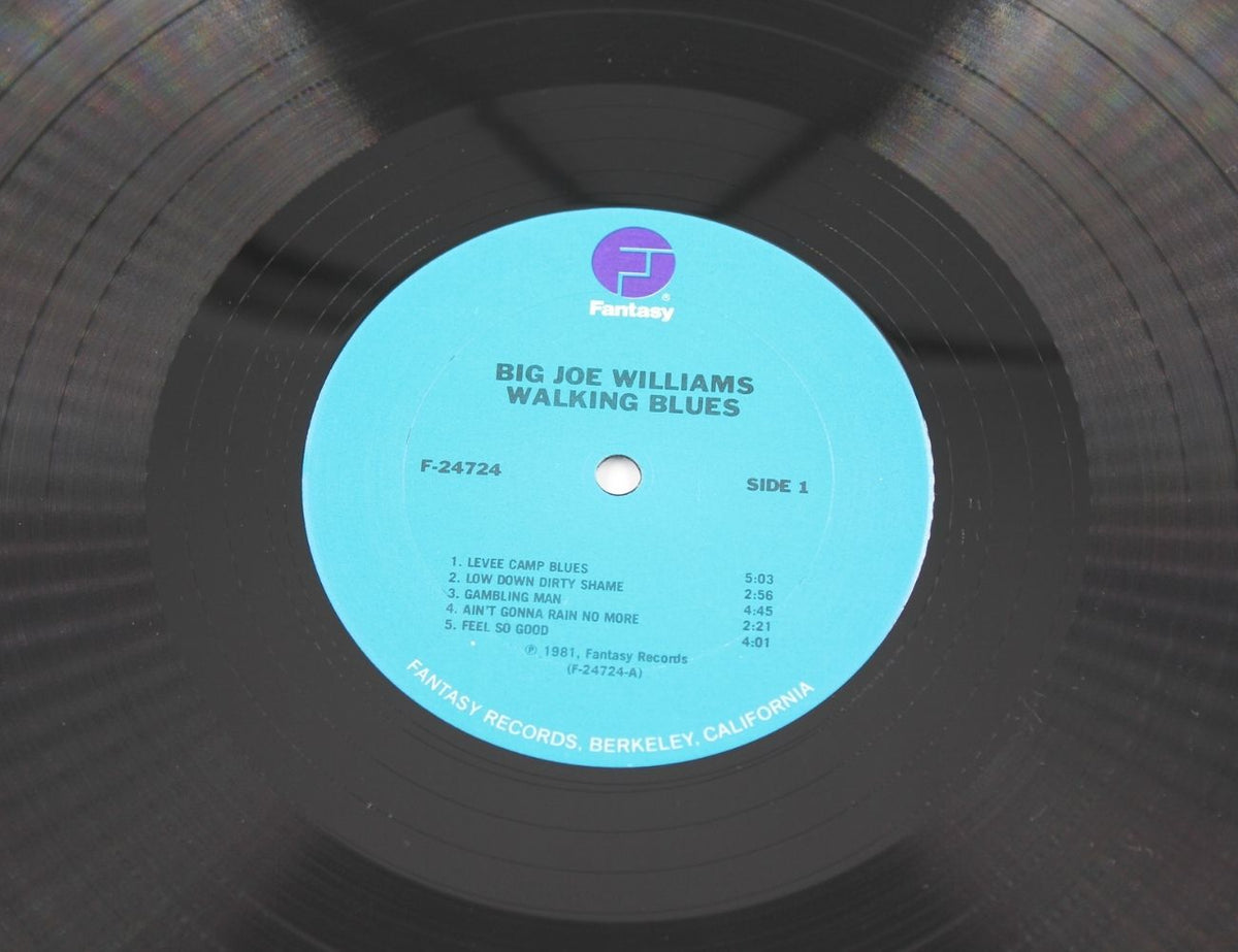 Big Joe Williams - Walking Blues