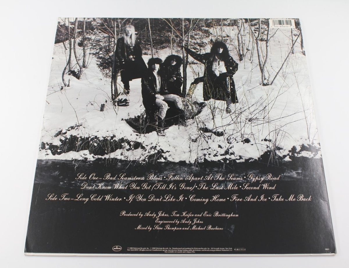 Cinderella - Long Cold Winter