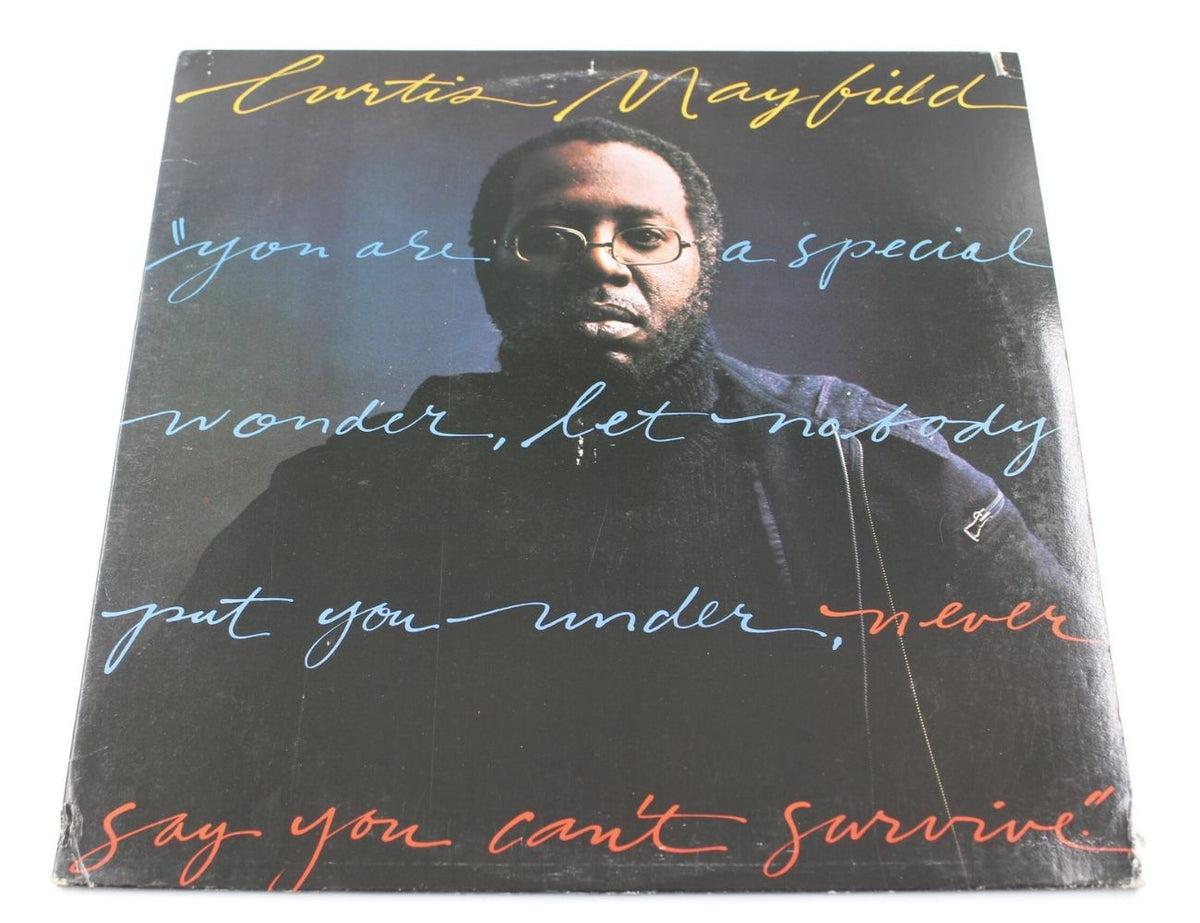 Curtis Mayfield - Never Say You Can&#39;t Survive