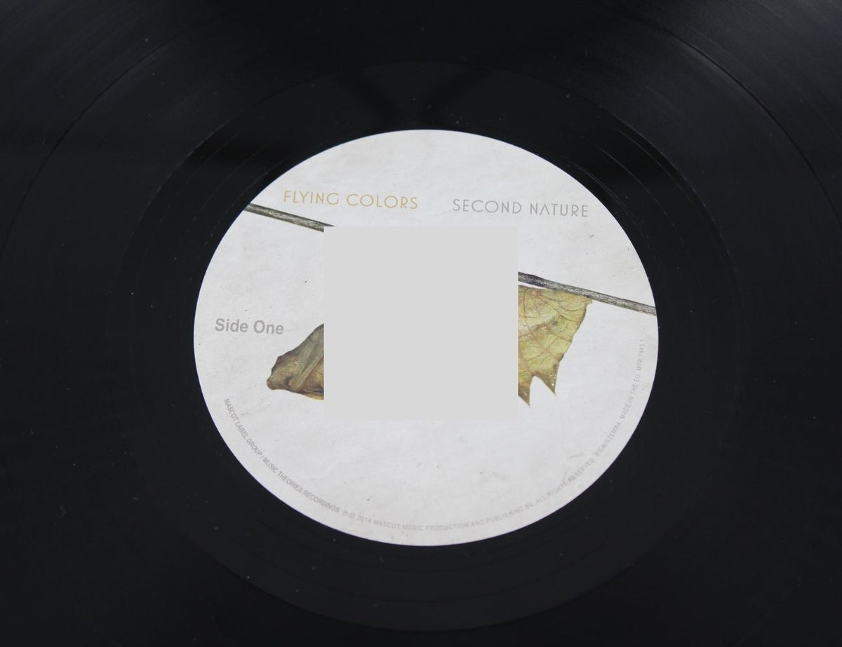 Flying Colors - Second Nature