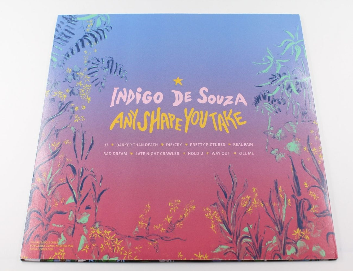 Indigo De Souza - Any Shape You Take