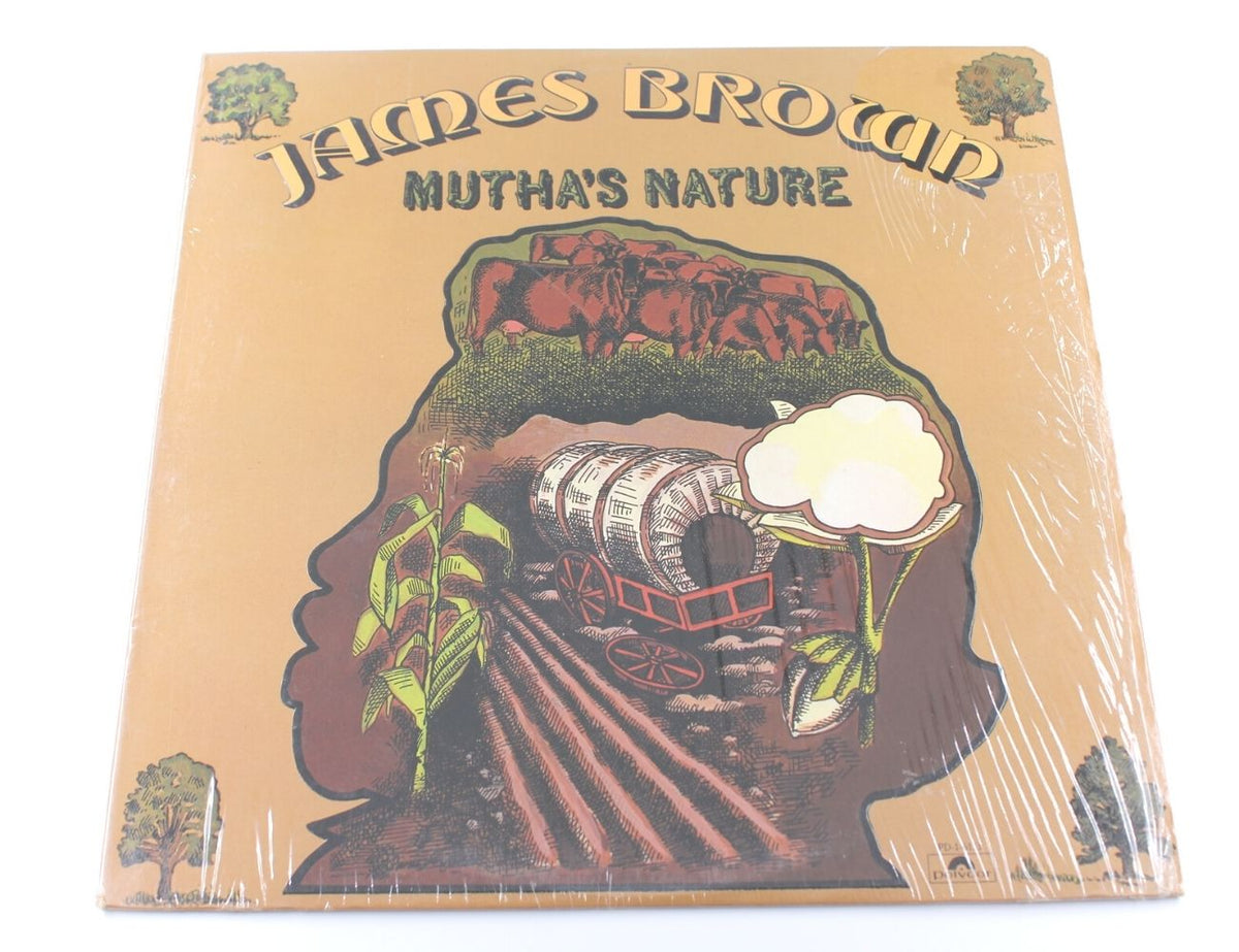 James Brown And The New J.B.&#39;s - Mutha&#39;s Nature