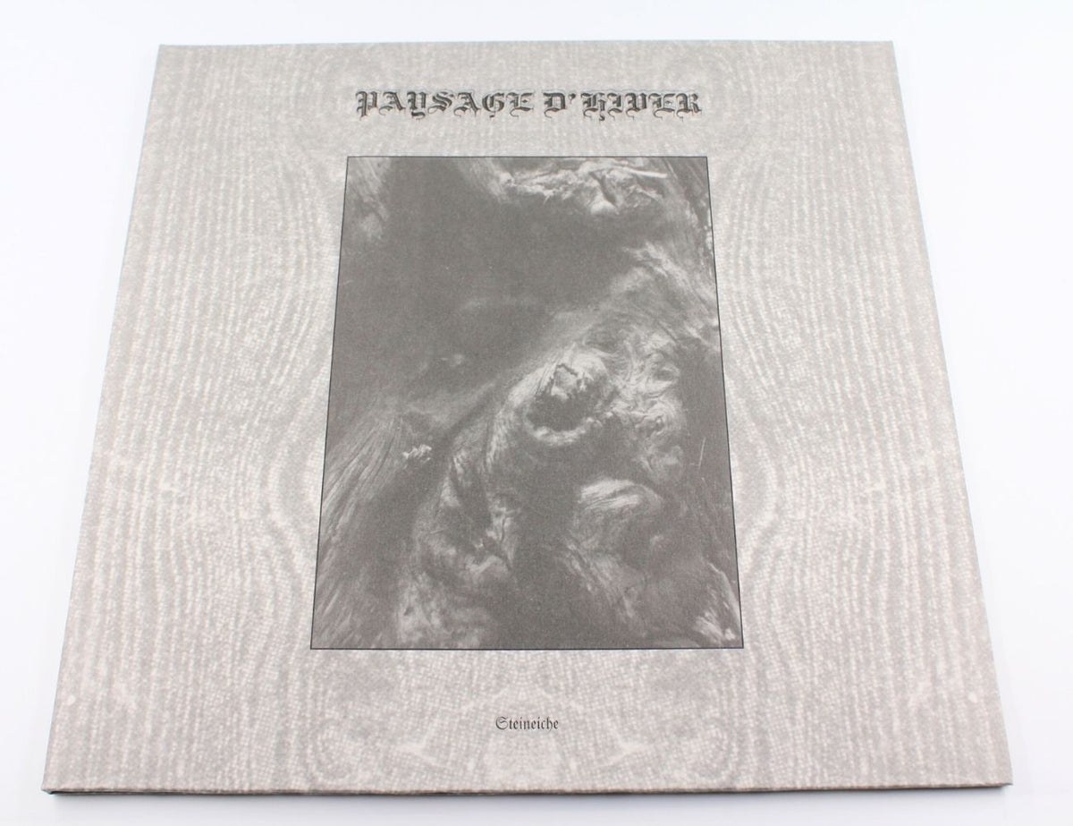 Paysage D'Hiver - Steineiche