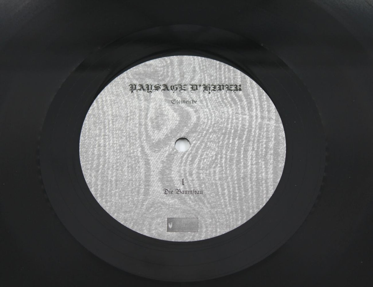 Paysage D'Hiver - Steineiche