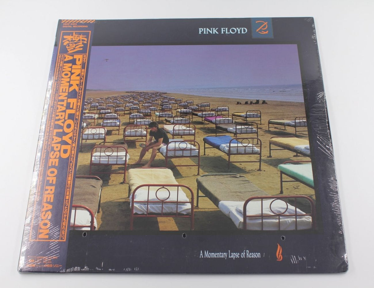 Pink Floyd - A Momentary Lapse Of Reason