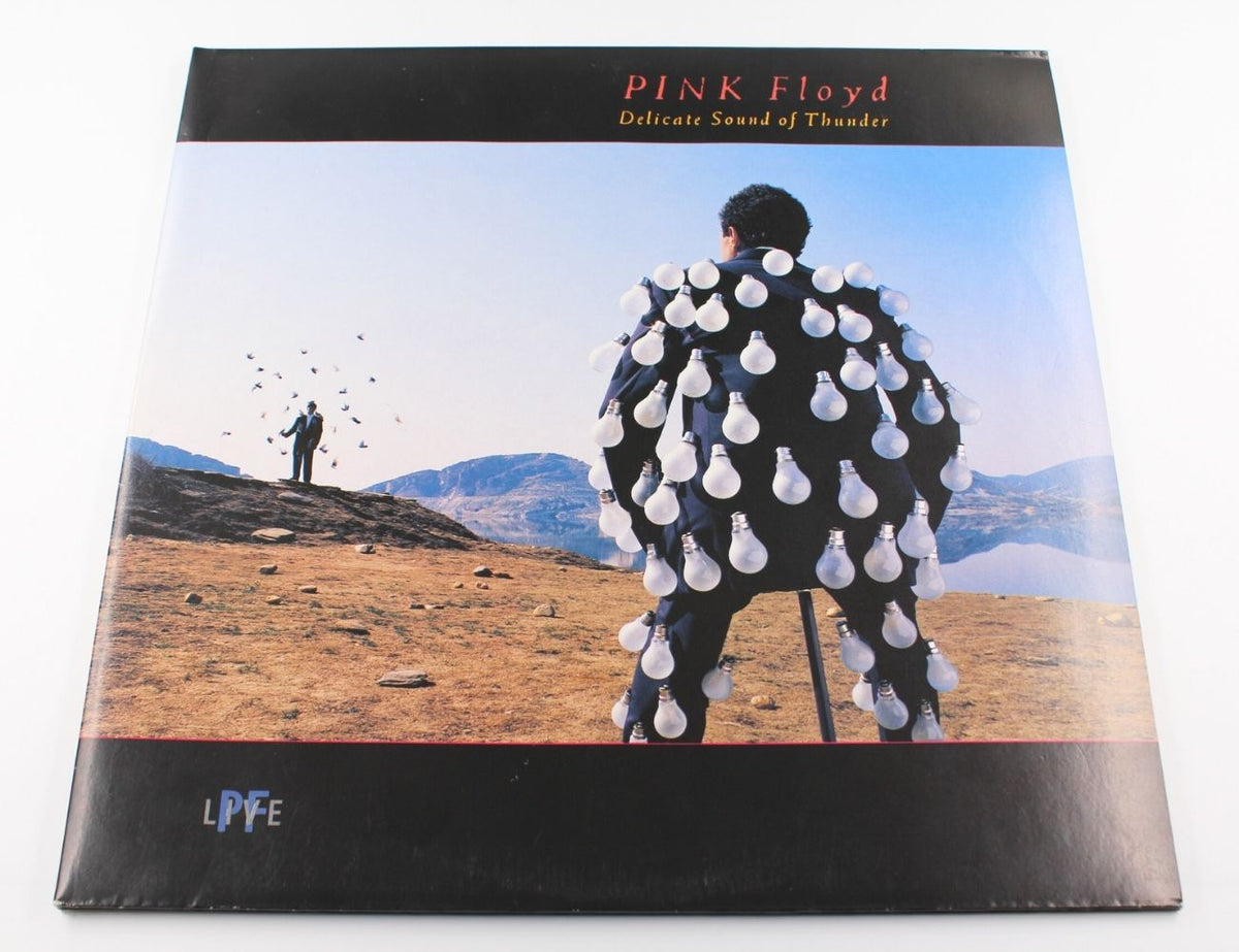 Pink Floyd - Delicate Sound Of Thunder