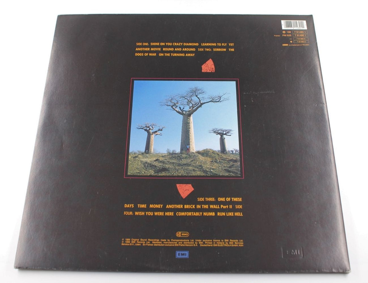 Pink Floyd - Delicate Sound Of Thunder