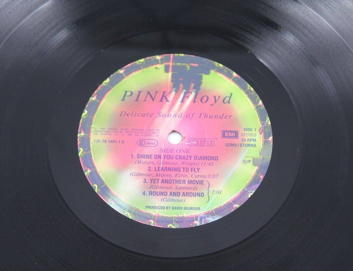 Pink Floyd - Delicate Sound Of Thunder