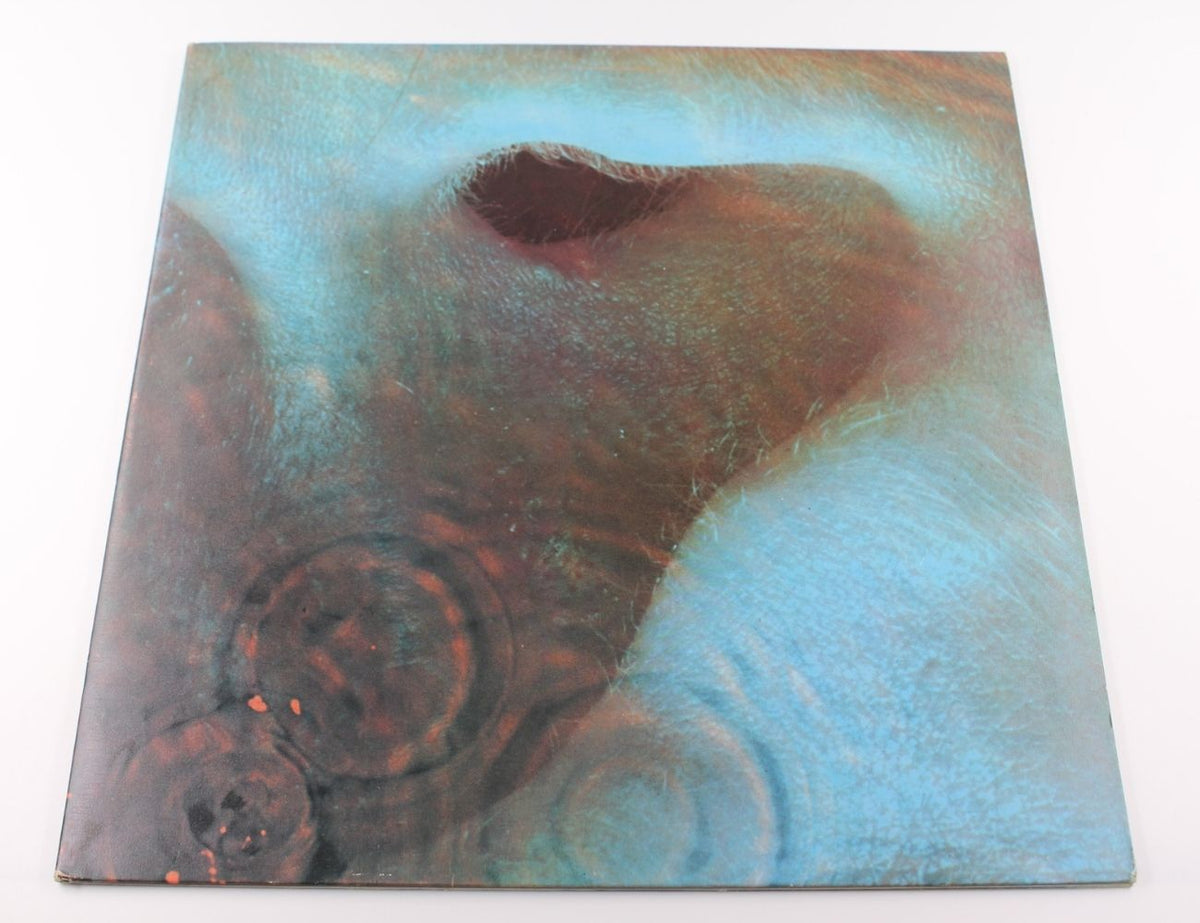 Pink Floyd - Meddle