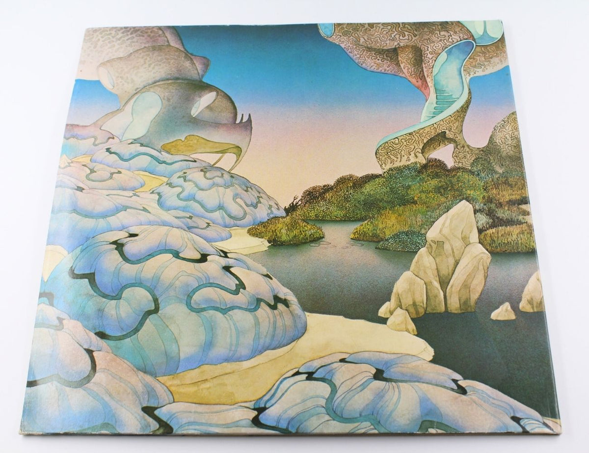 Steve Howe - Beginnings