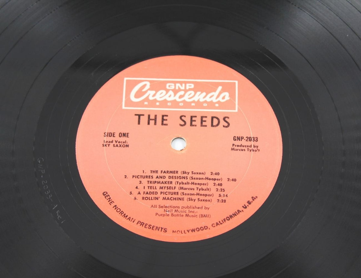 Seeds - A Web of Sound