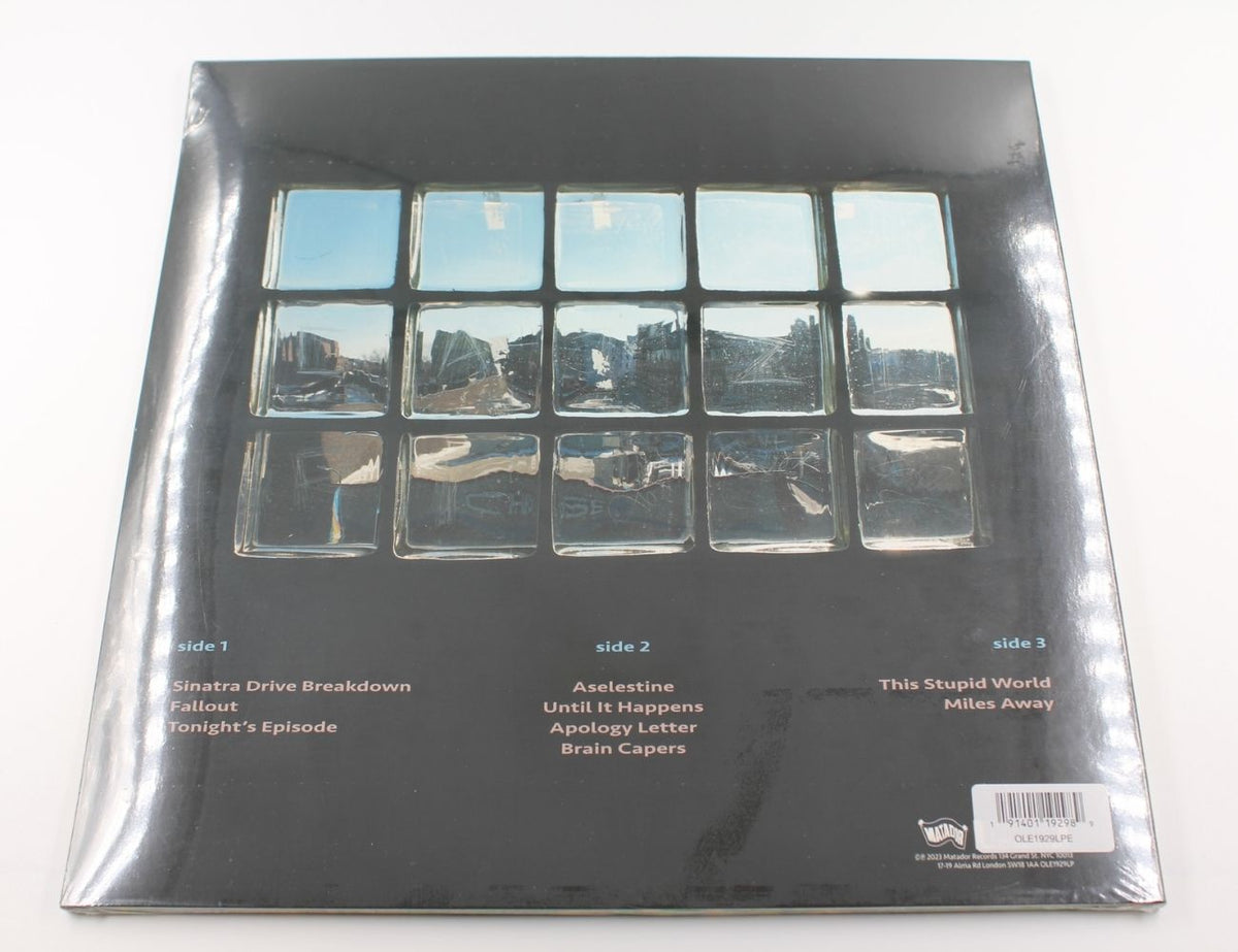 Yo La Tengo - This Stupid World