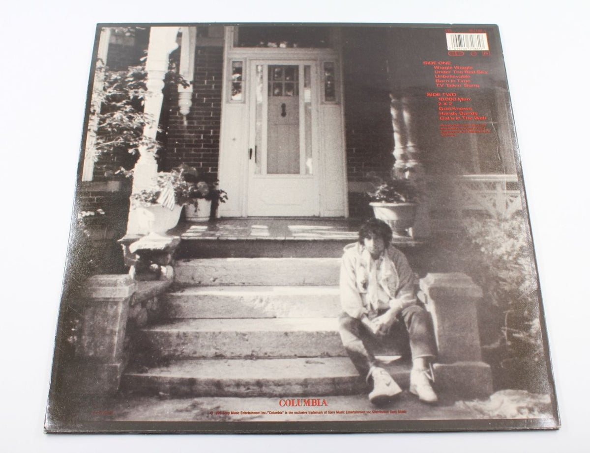 Bob Dylan - Under The Red Sky - Vinyl LP