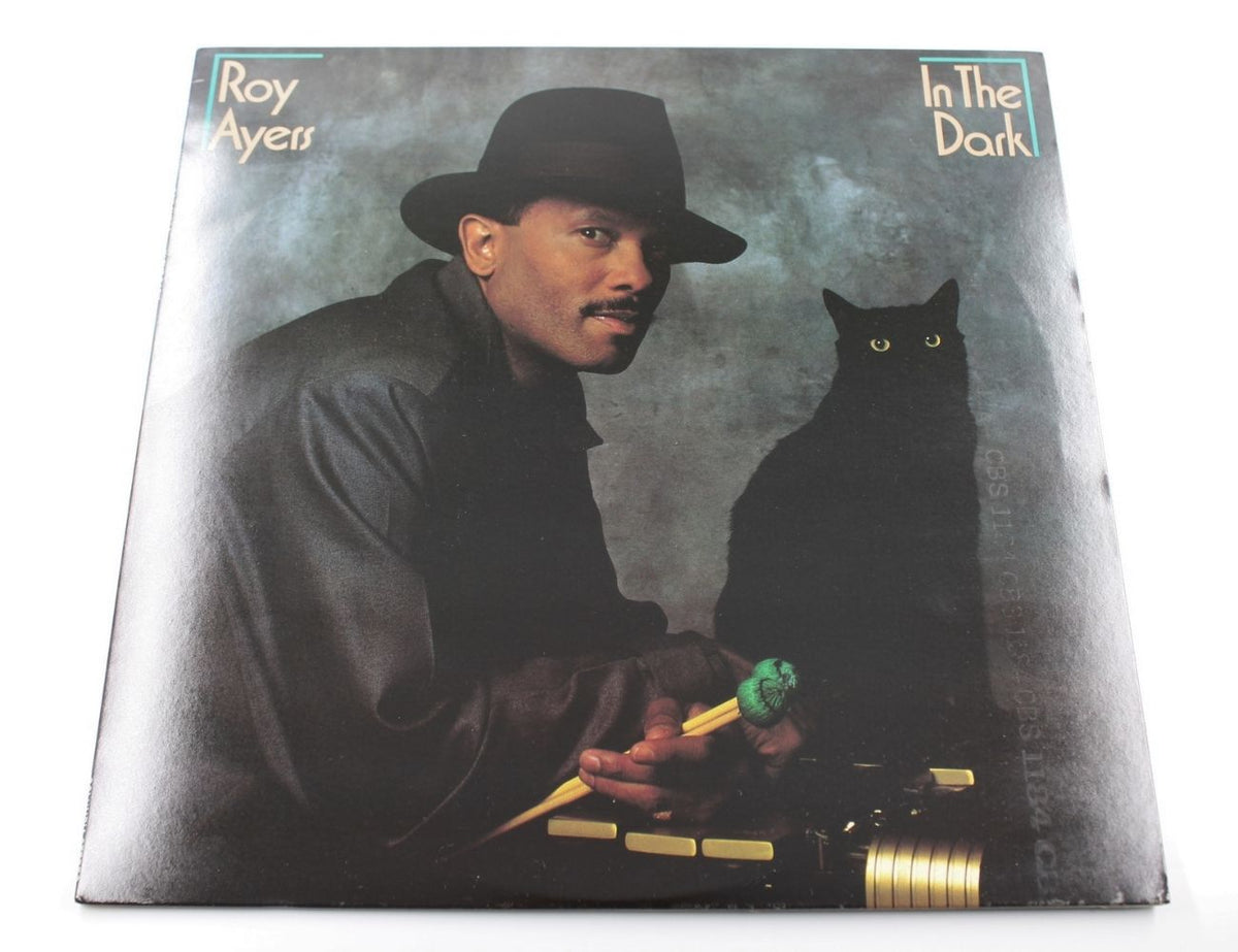 Roy Ayers - In The Dark - Vinyl LP