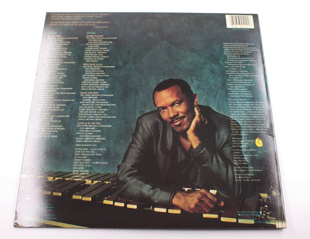 Roy Ayers - In The Dark - Vinyl LP