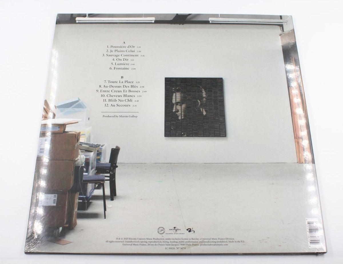 Stephan Eicher - Poussière D'or - Vinyl LP