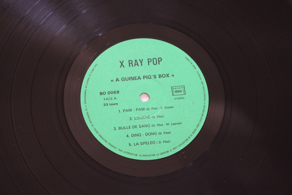X Ray Pop - A Guinea Pig&#39;s Box
