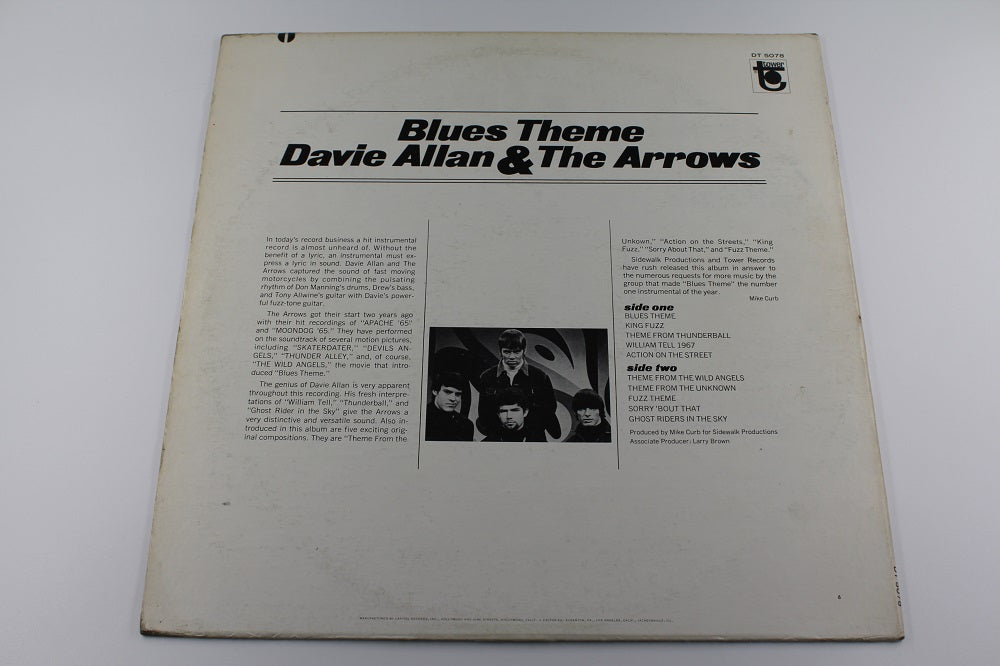 Davie Allan &amp; The Arrows - Blues Theme