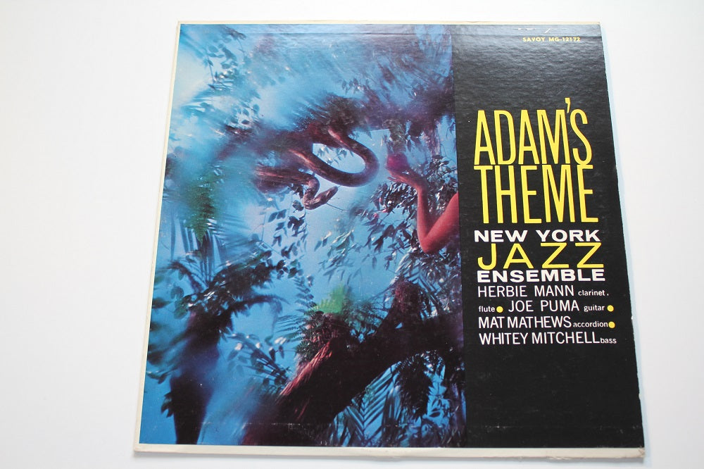 New York Jazz Ensemble - Adam&#39;s Theme