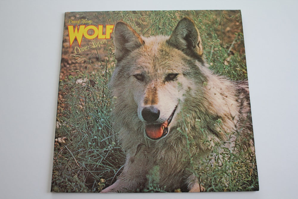 Darryl Way&#39;s Wolf - Canis Lupus